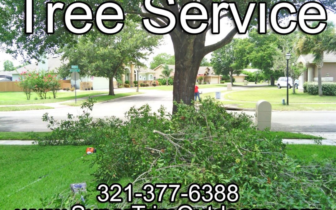 Let Us Do the Tree Trimming for You!